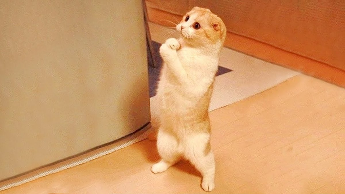 Извини меня