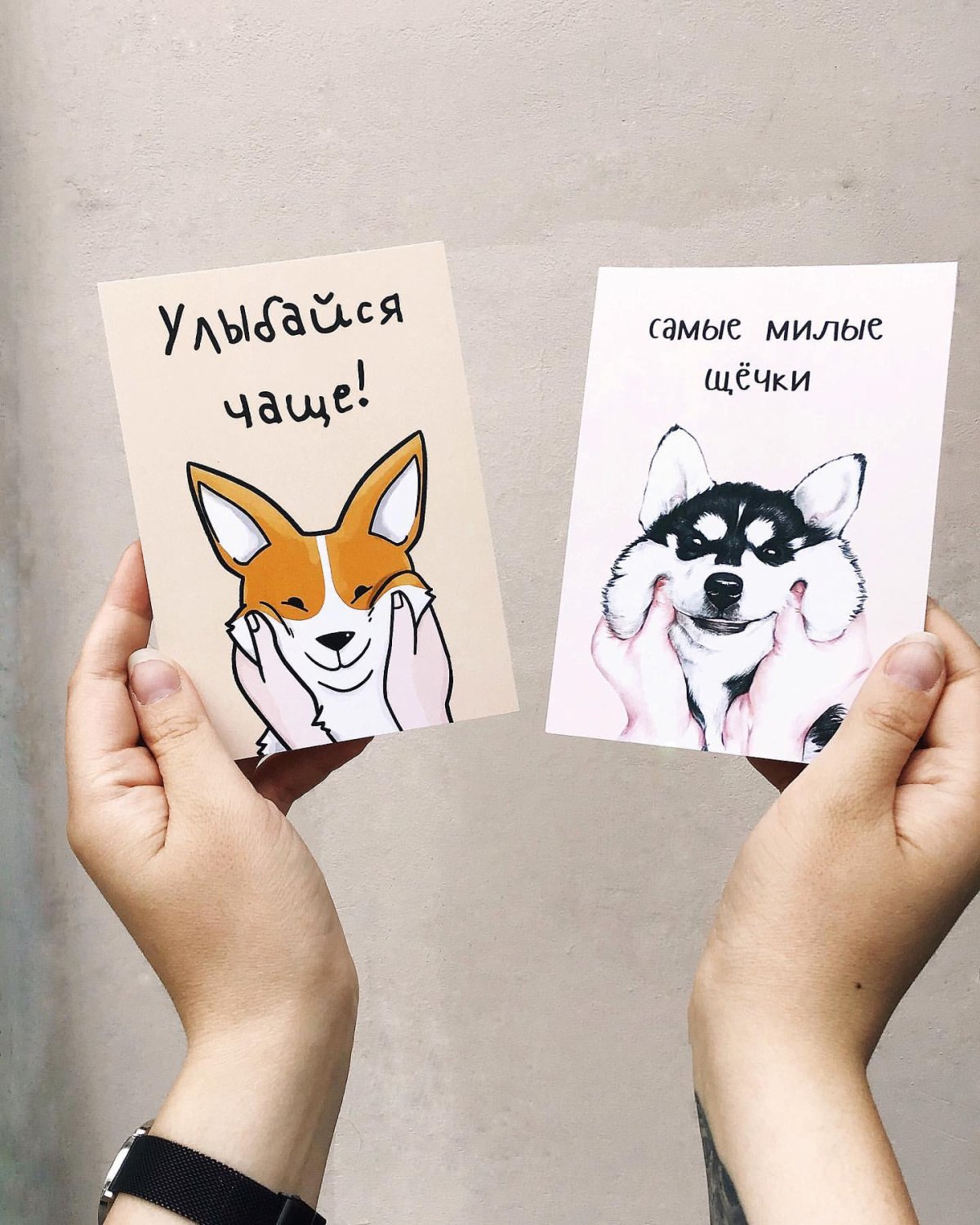 Кошка в шляпке