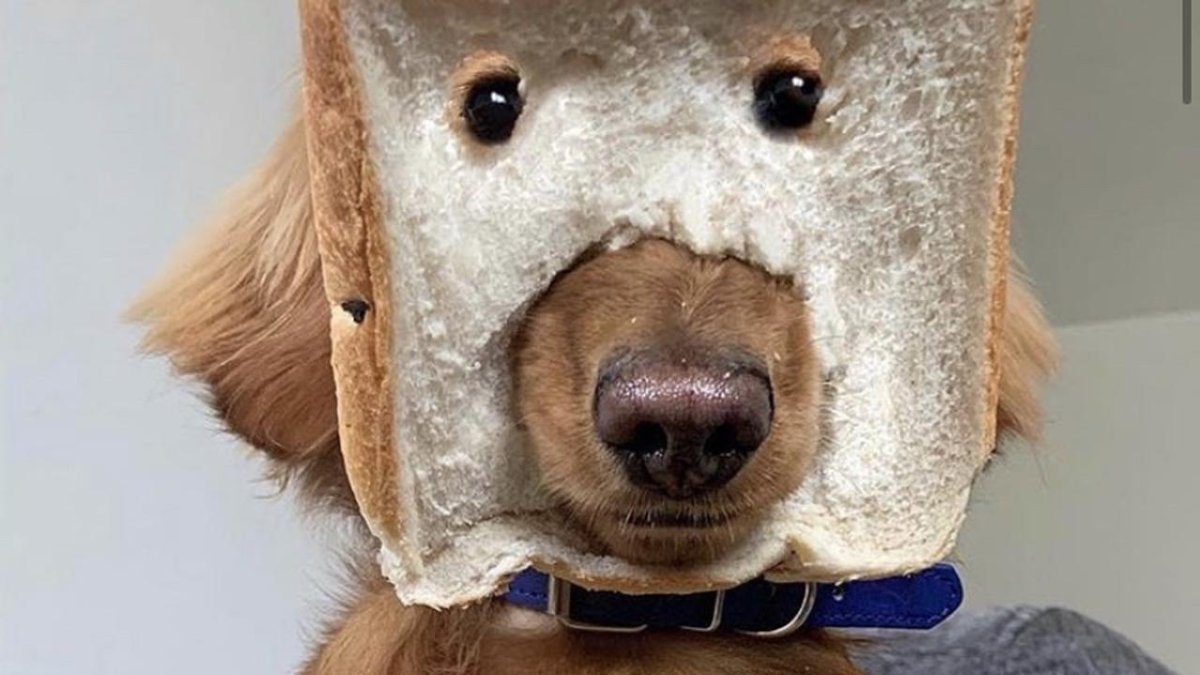 Рисунки в стиле е герл