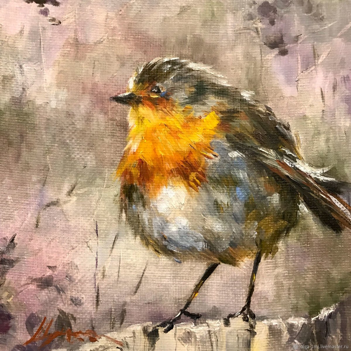 Зарянка зимой