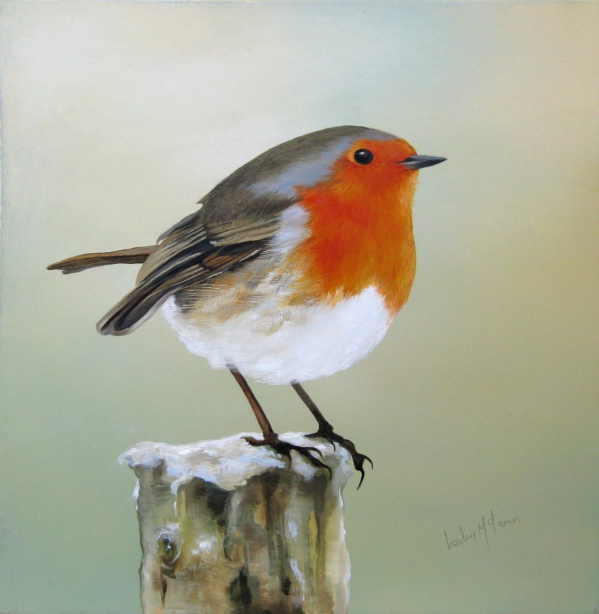 Птичка Зарянка на ладони