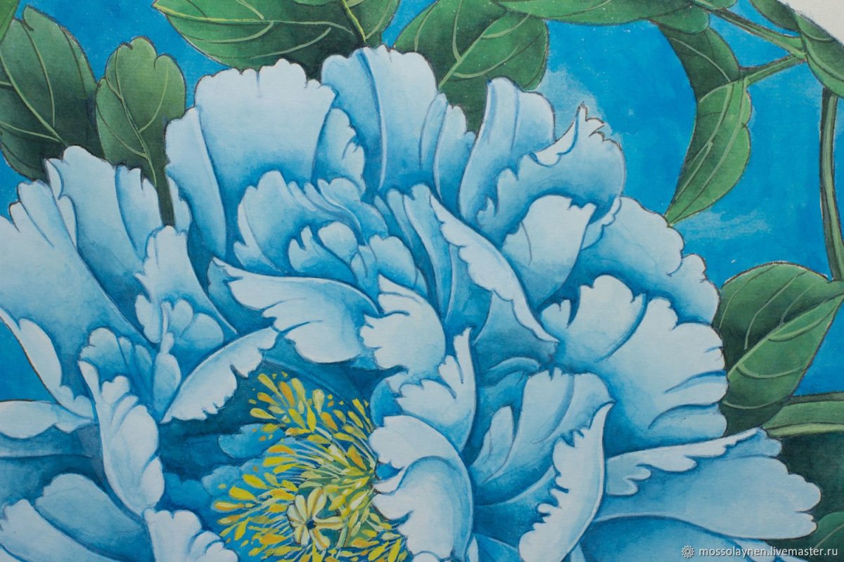 Синие пионы