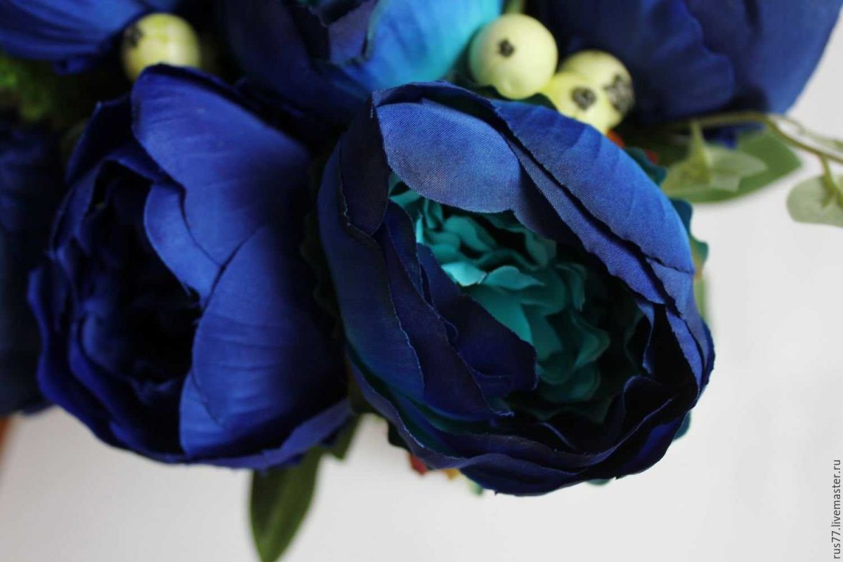 Пионы на бирюзовом фоне