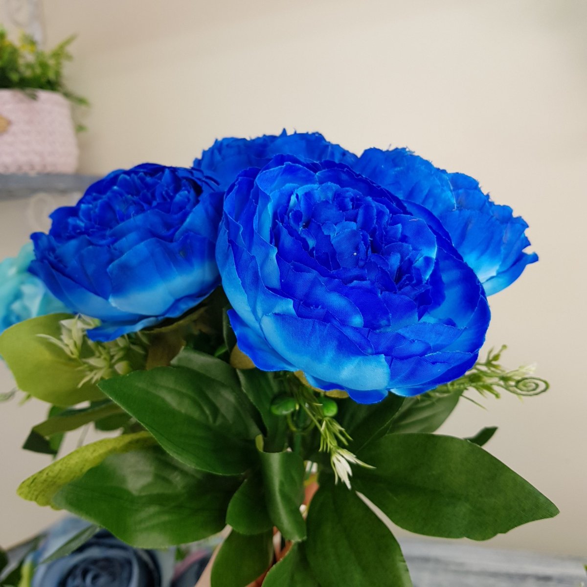 Пион голубой