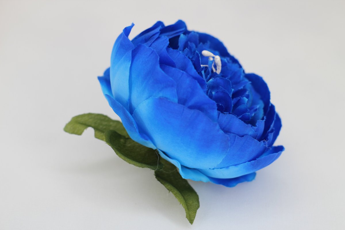 Пион голубой