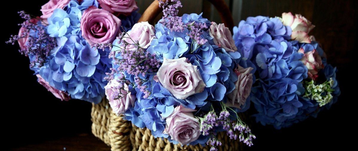 Синие пионы