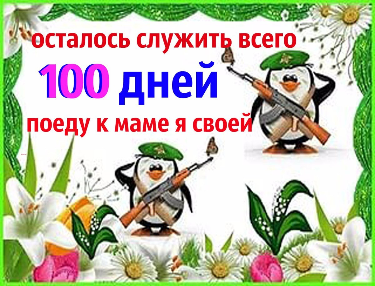 Открытки 11 месяцев службы в армии
