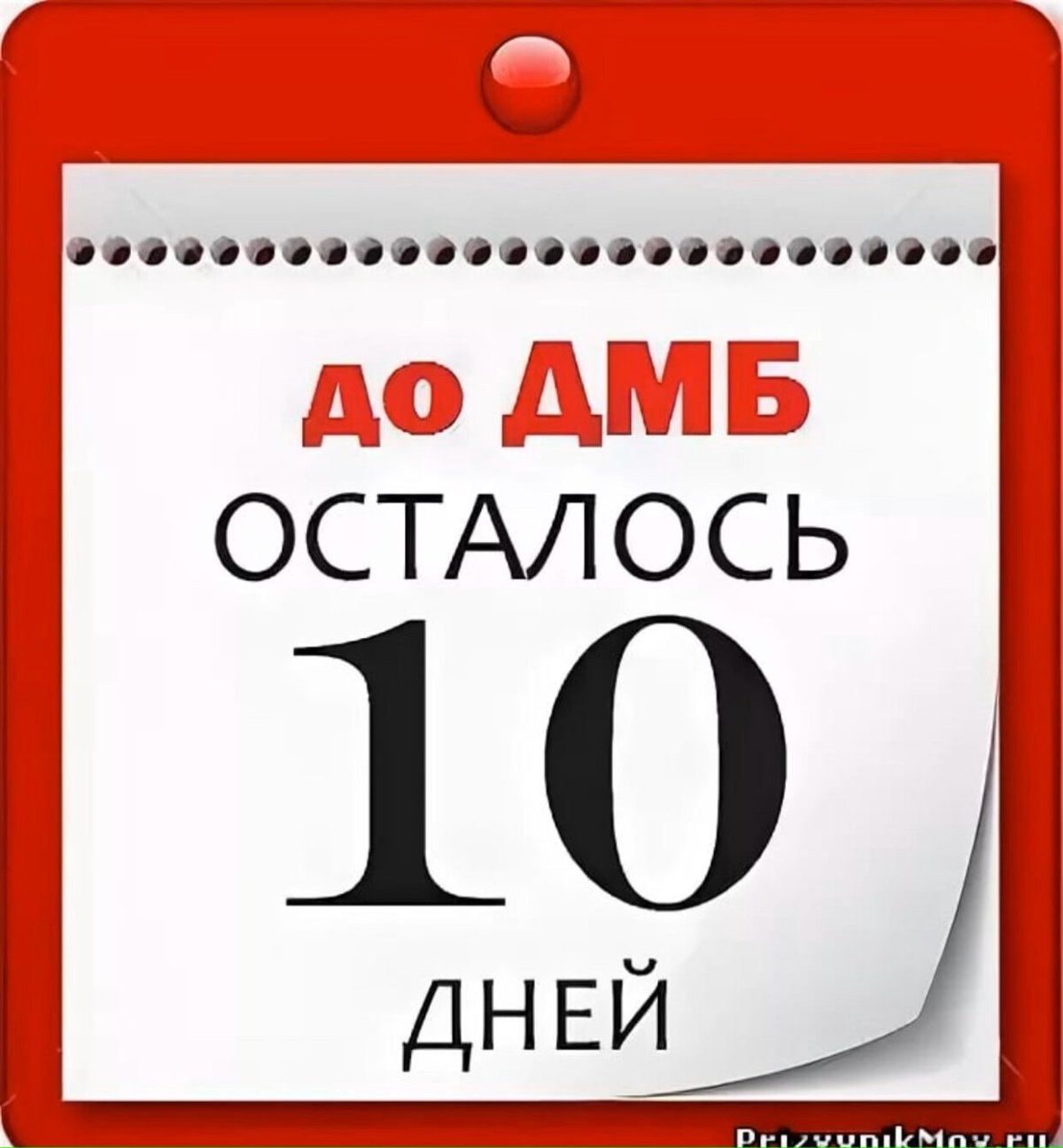 Скоро ДМБ картинки