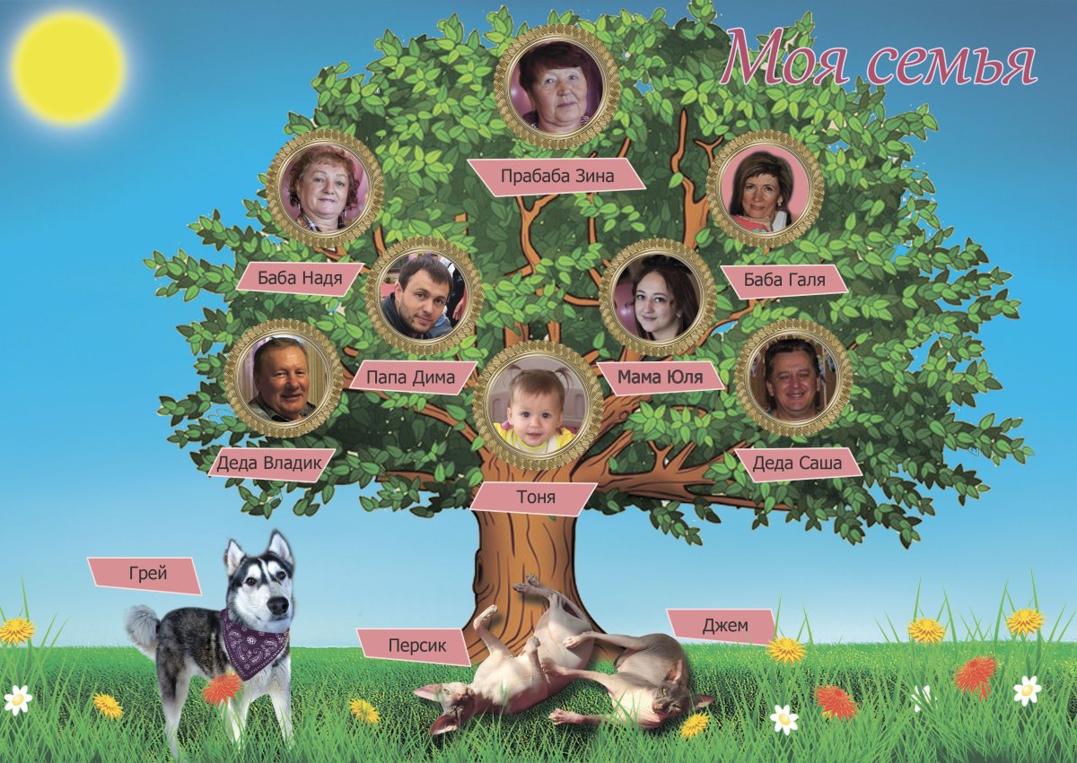 Family Tree(семейное Древо)