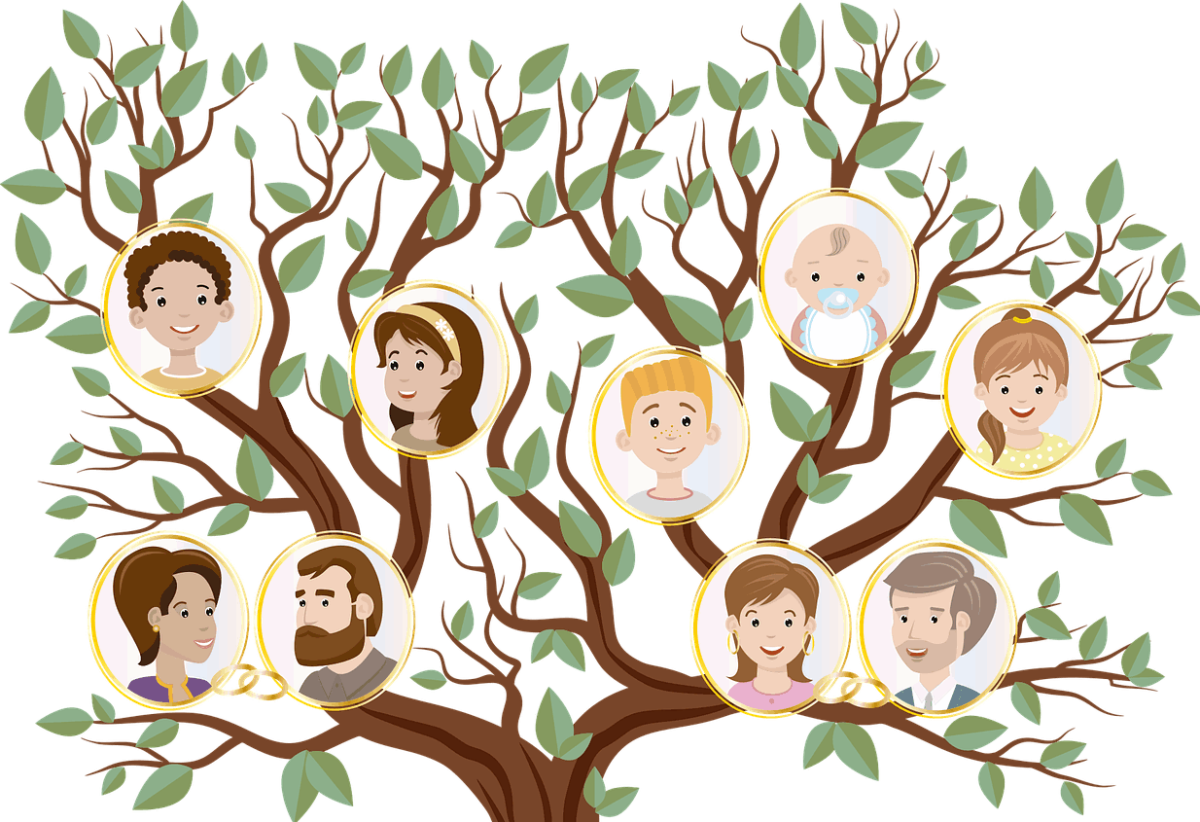 Семейное Древо Адамс