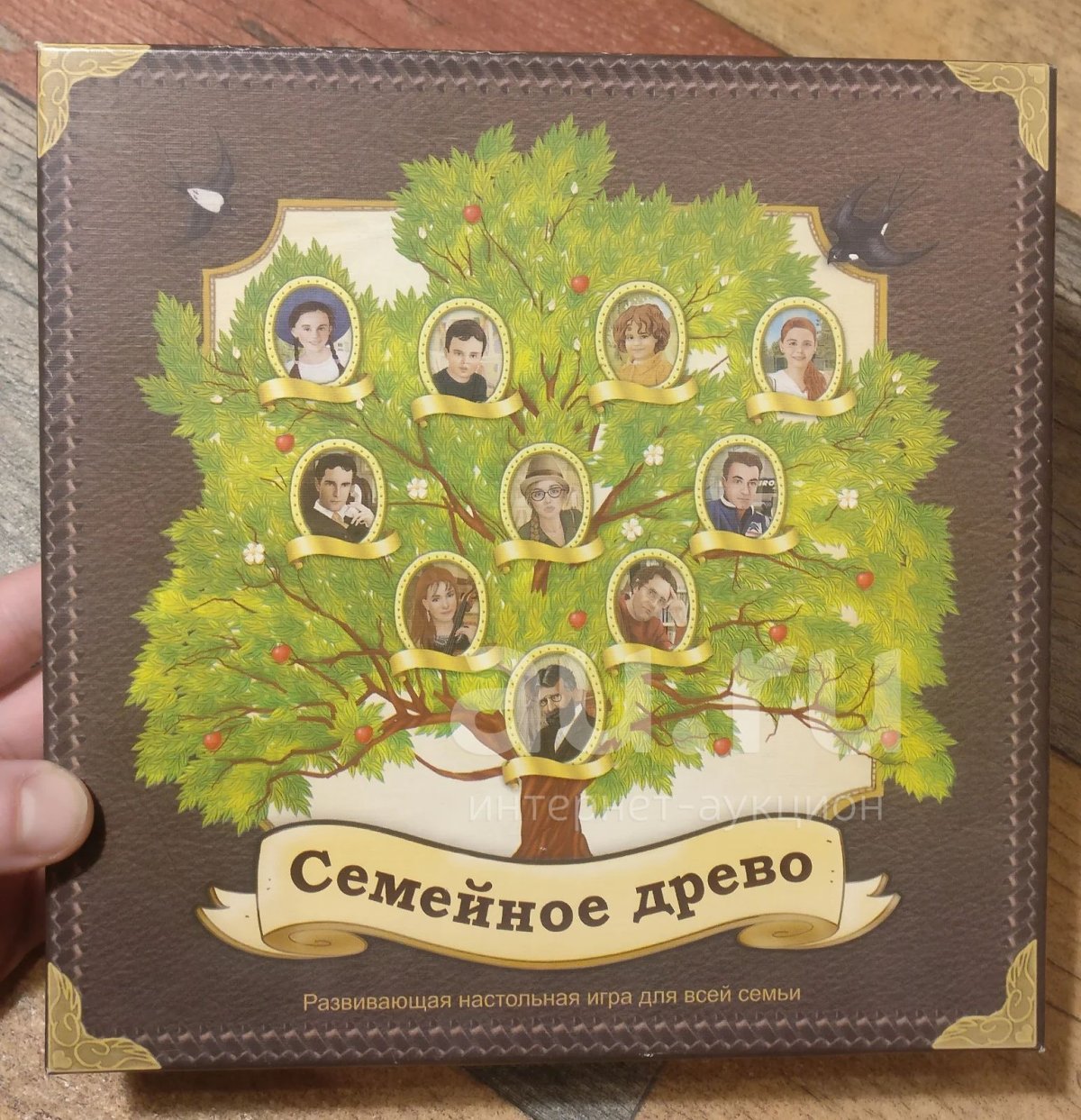 ШЖР родословное дерево