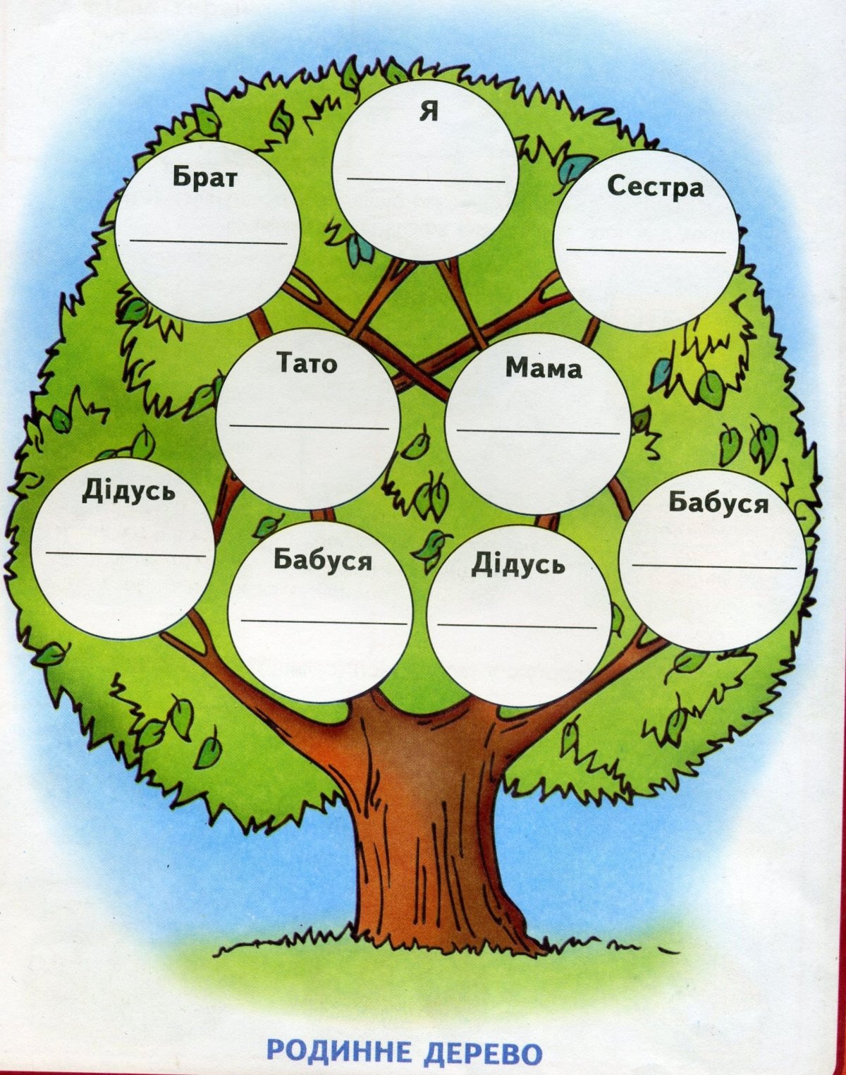 Дерево родословной Family Tree