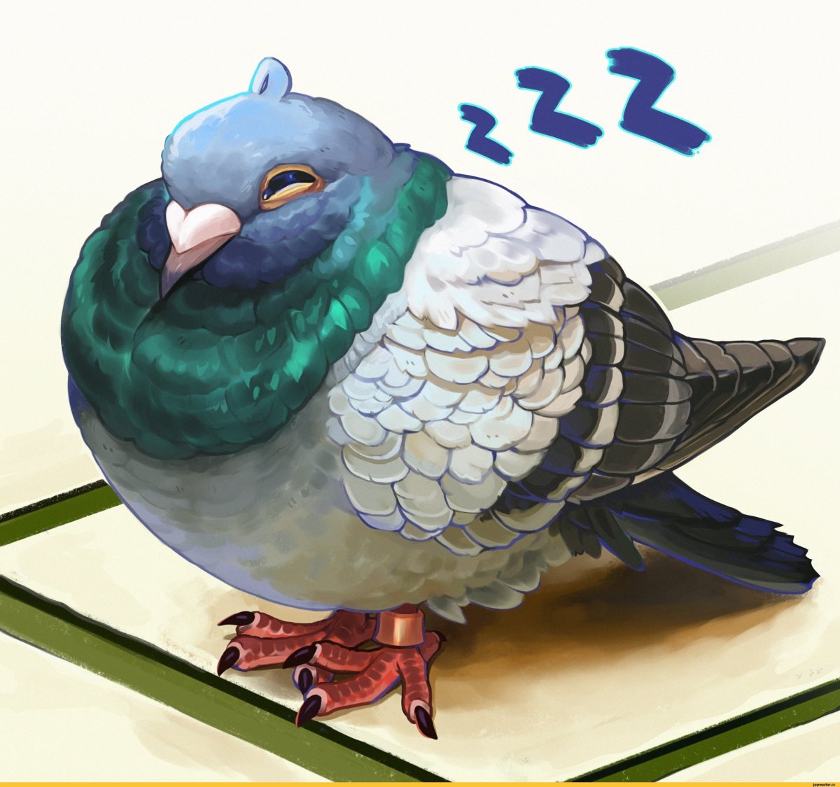 Милые голуби