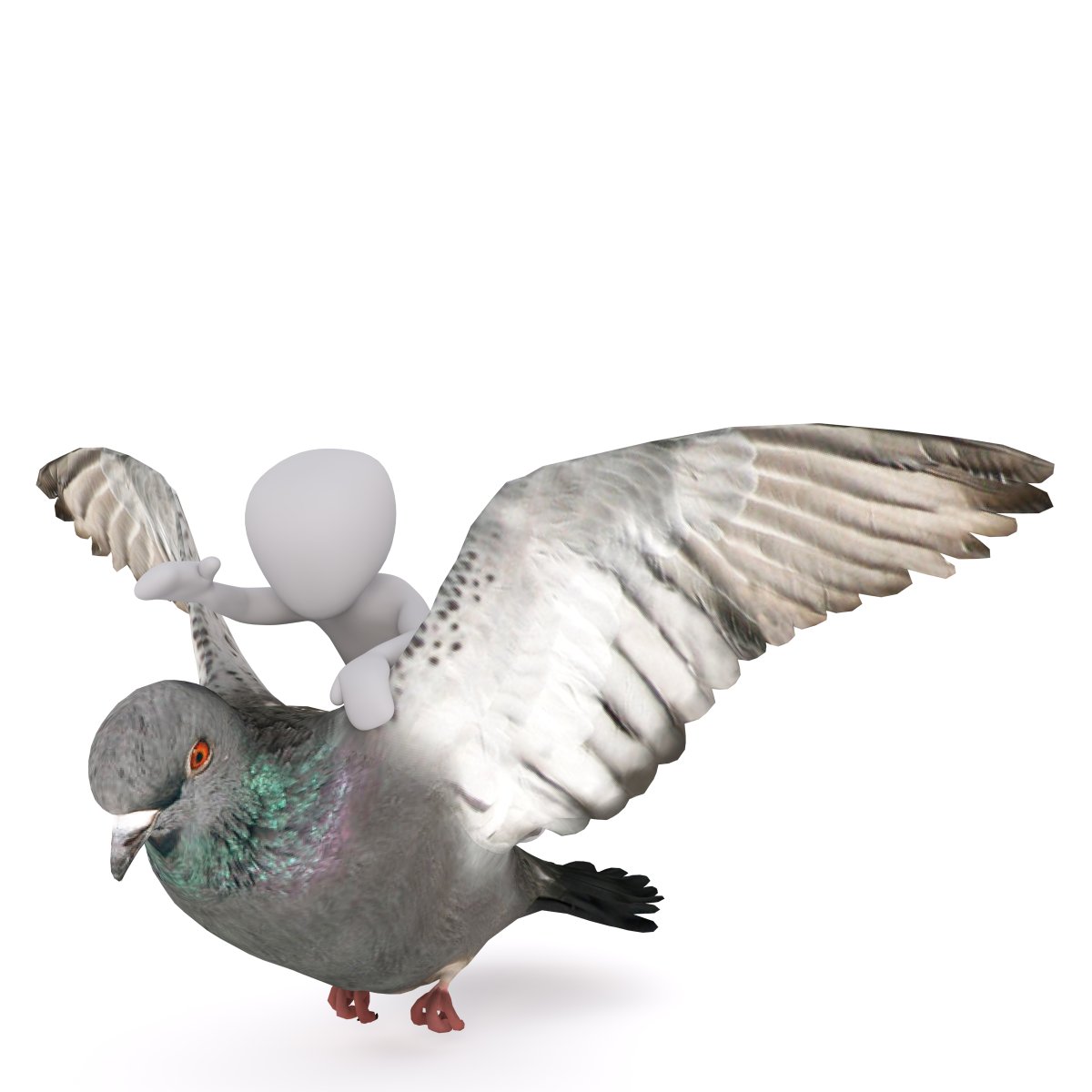 Почтовый голубь Мем