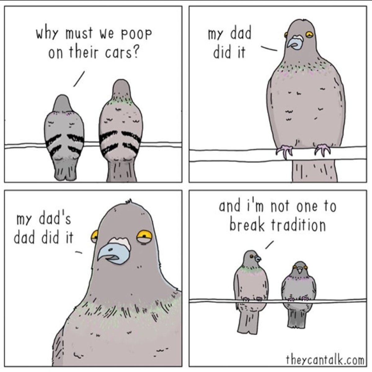 Голубь смешной Мем