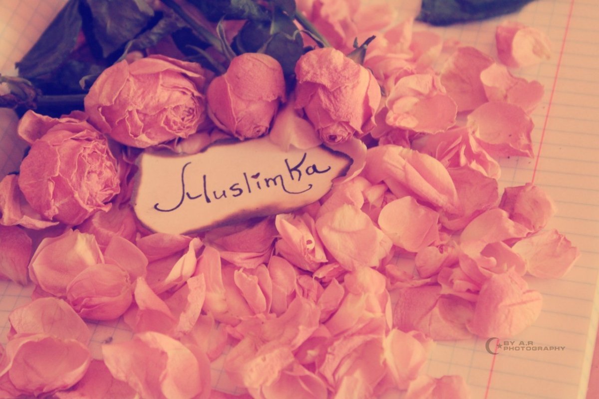 С днём рождения Муслим картинки красивые