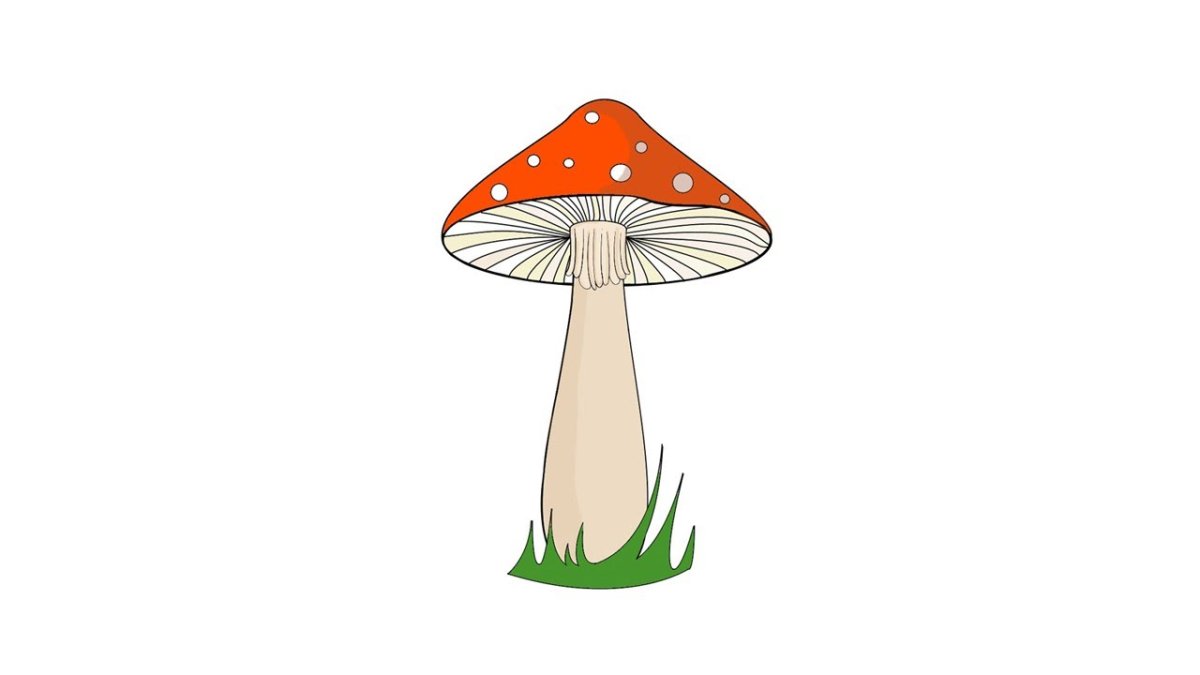 Гриб мухомор рисунок