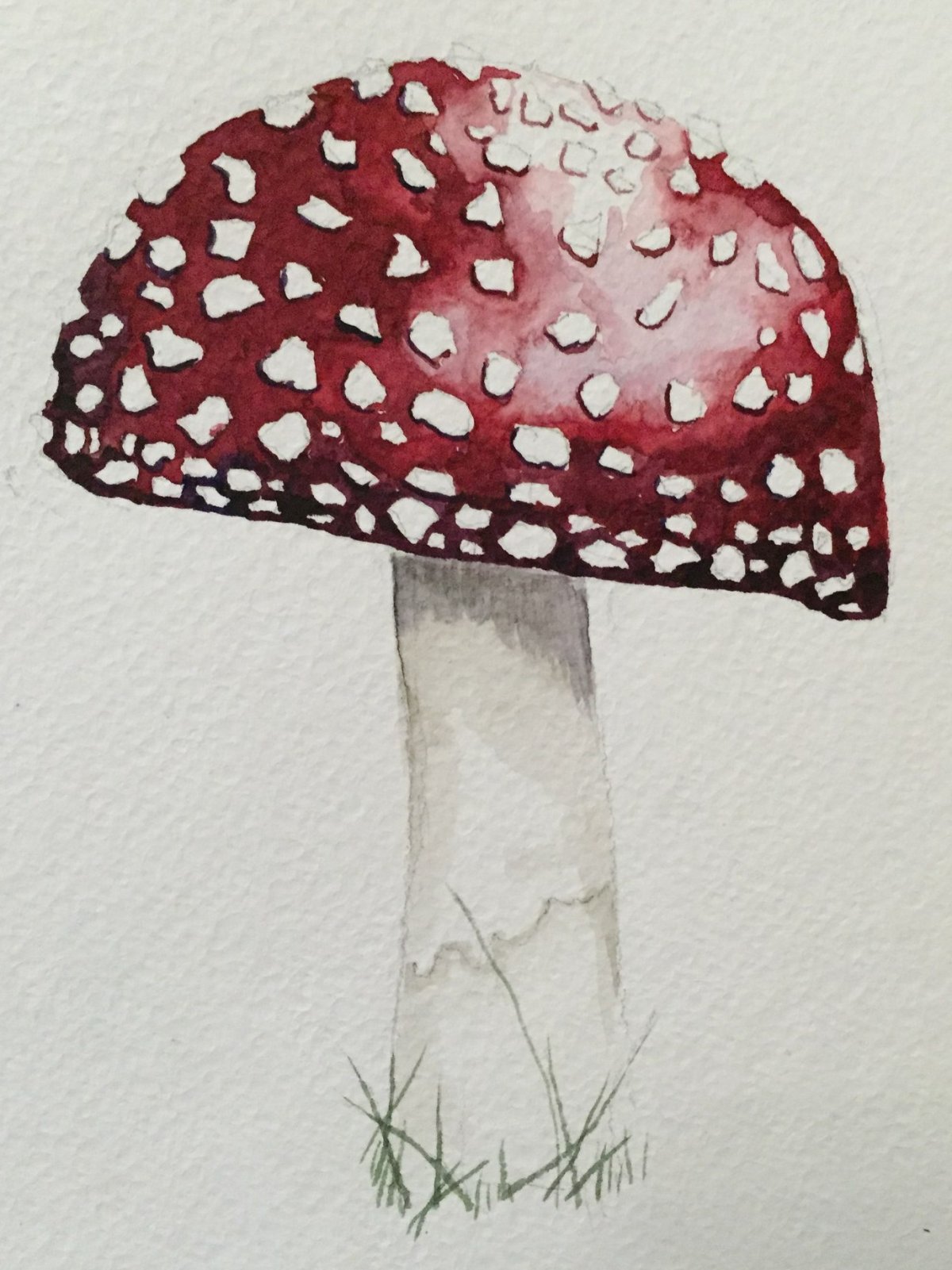 Нарисовать гриб мухомор карандашом