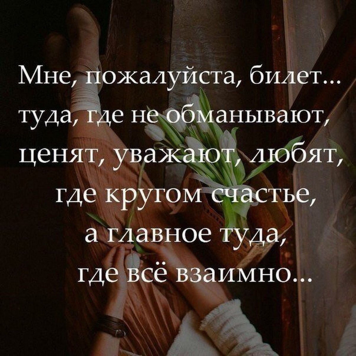 Не ценят афоризмы