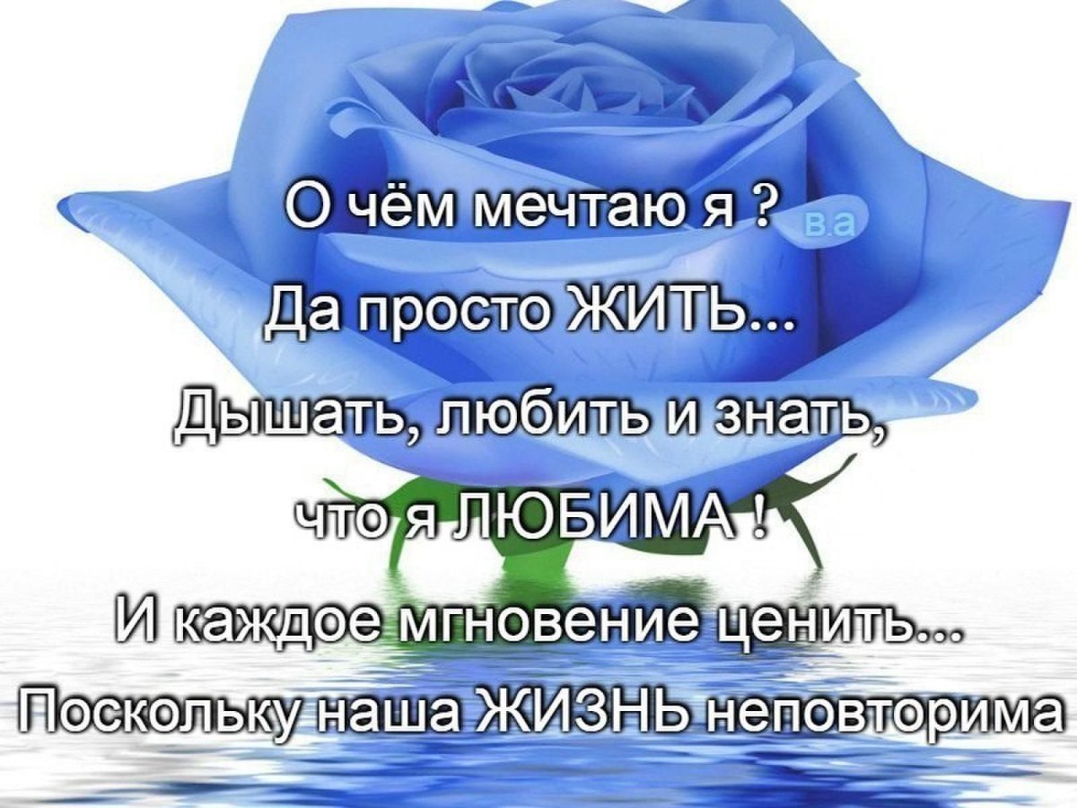 Цитаты про мгновения жизни