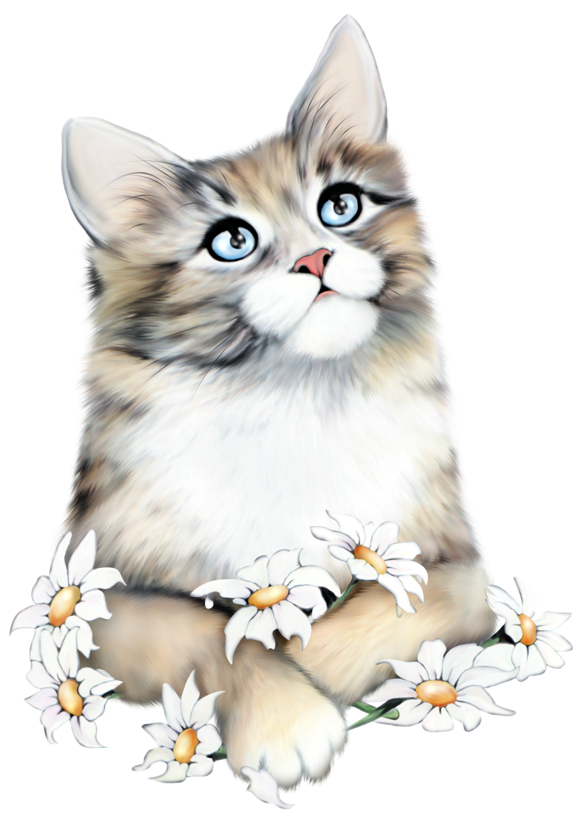 Кошечка на прозрачном фоне