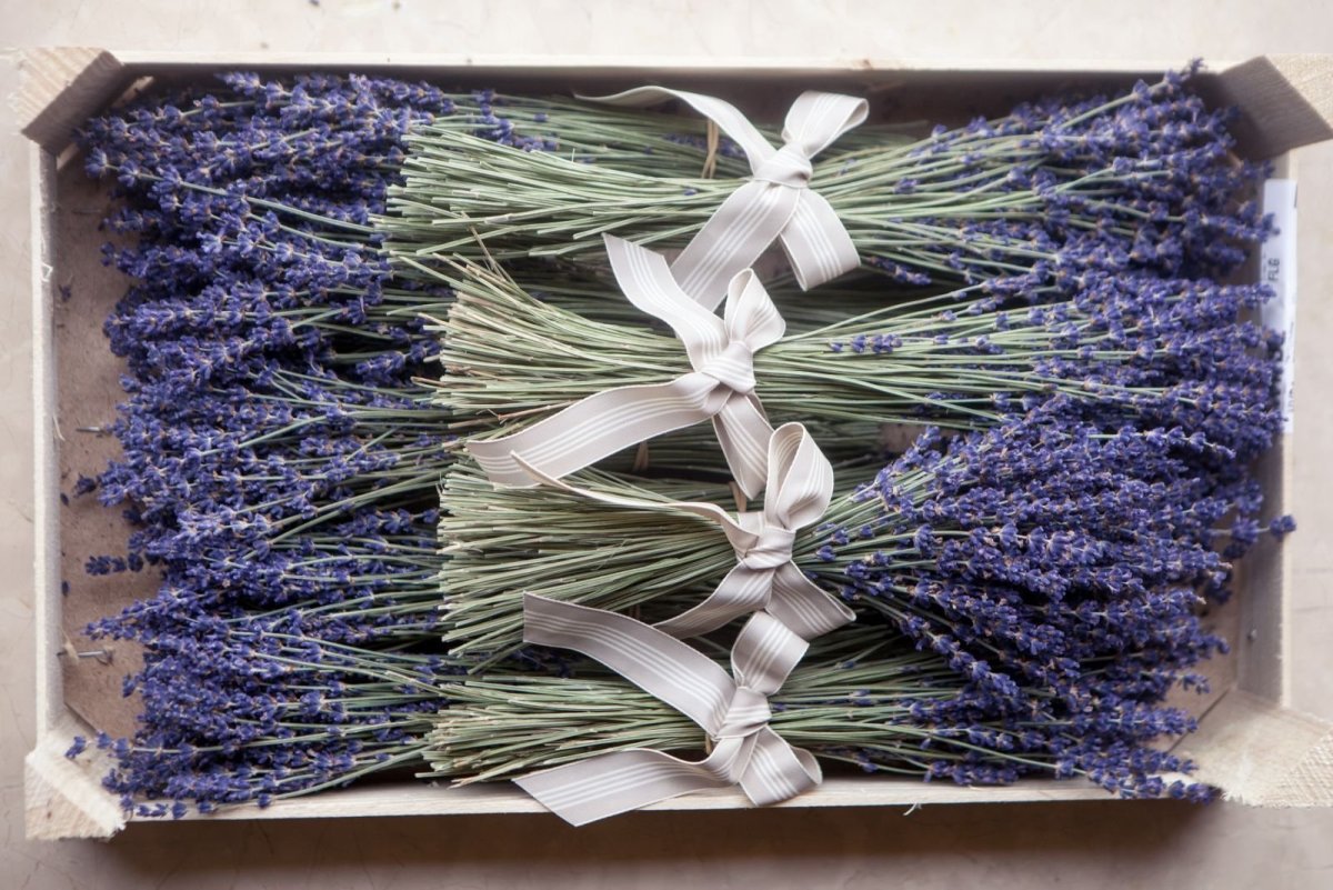 ЕВРОФЛОР Лаванда