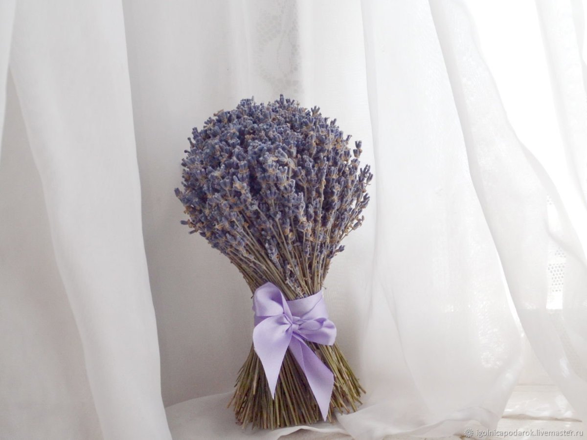 Лаванда французский букет Аэлита