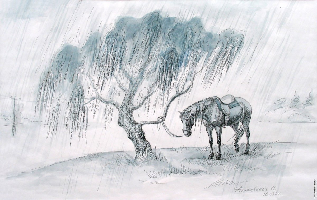 Книга "новая энциклопедия лошади"