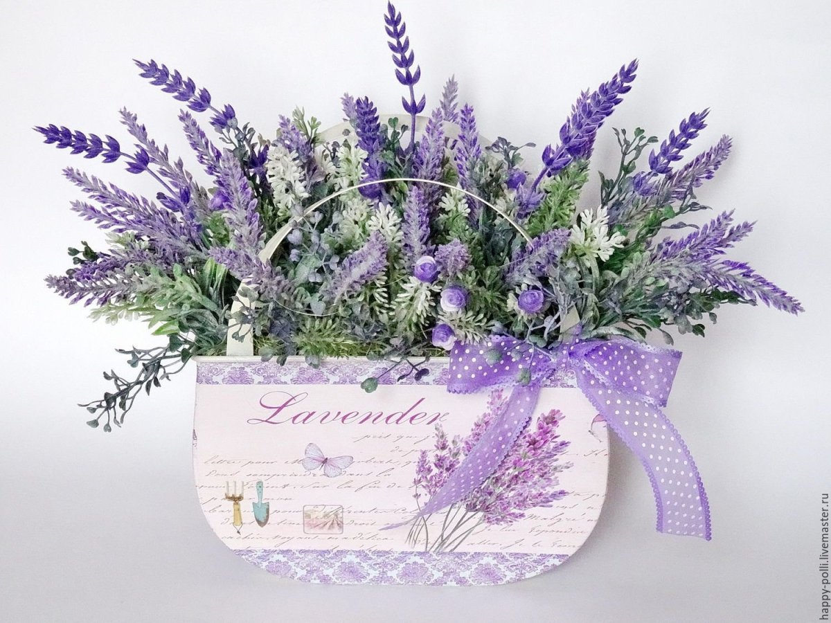 Лаванда Felice