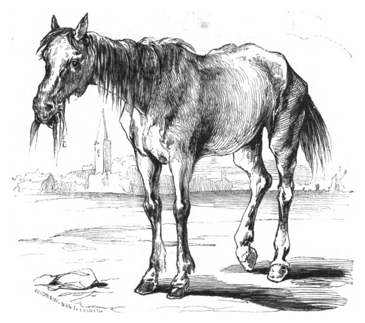 Константин Ушинский лошадка