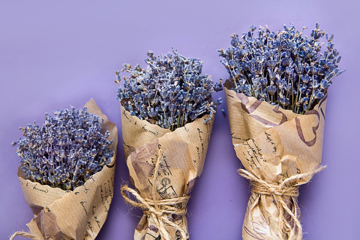 Засушить цветы лаванды