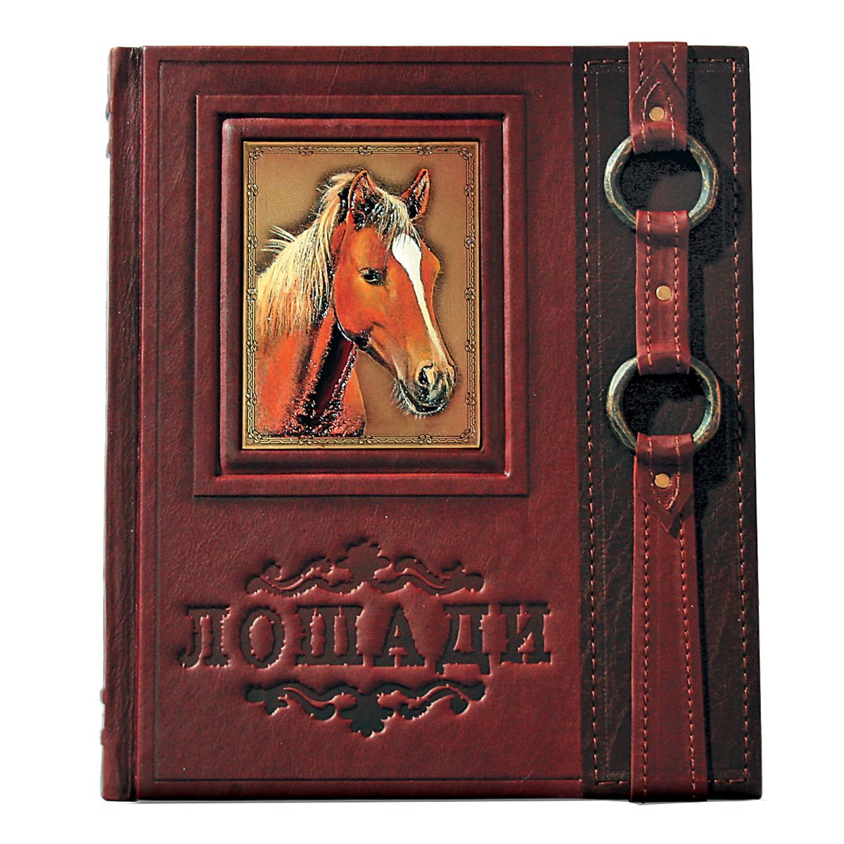 Сивка бурка Иван