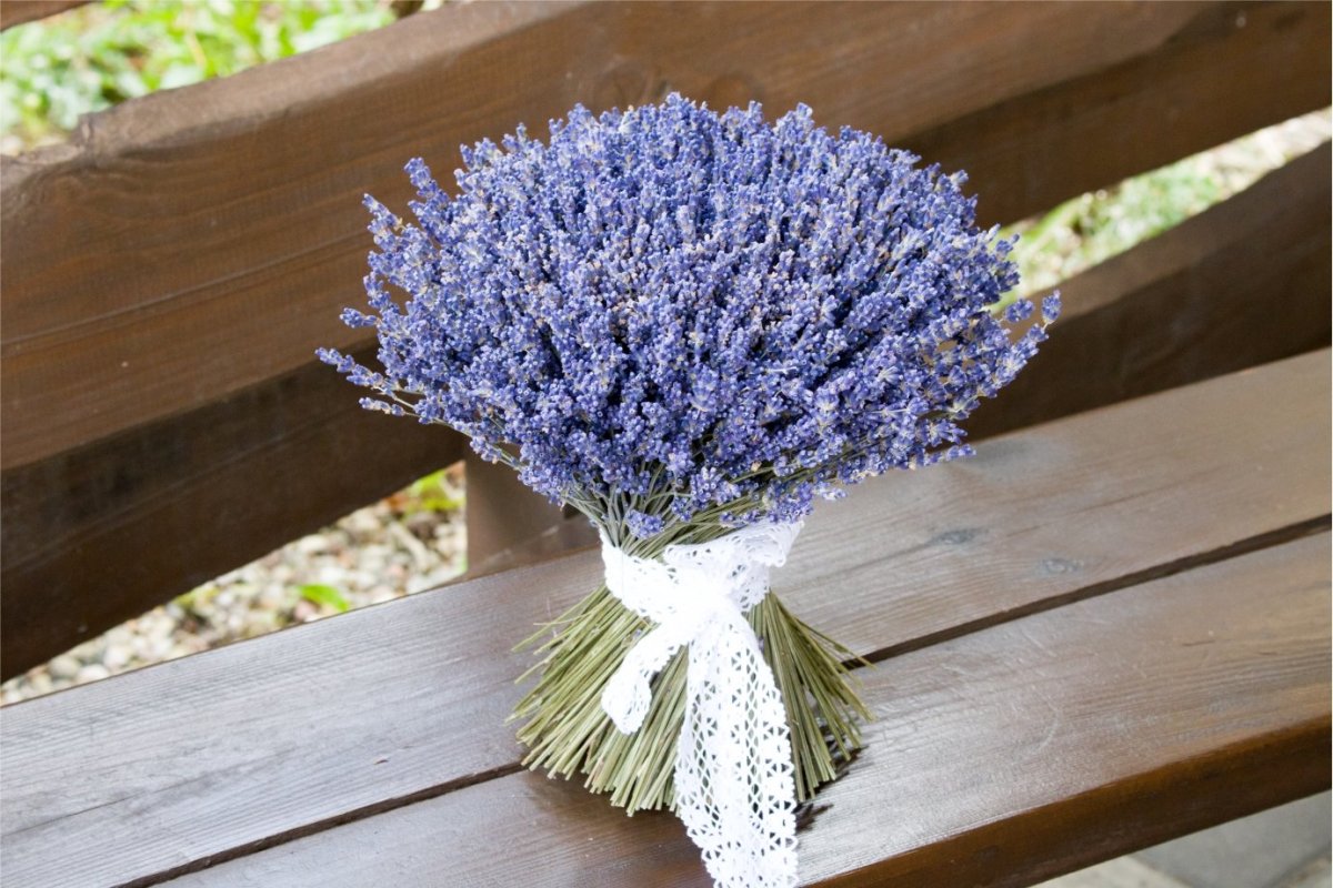 Лаванда и розмарин