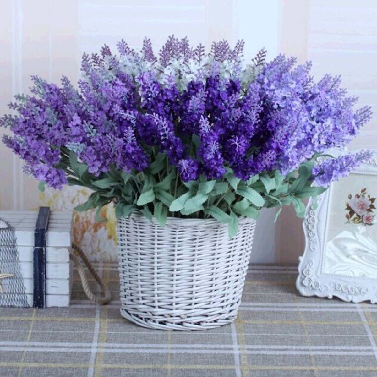 Лаванда комнатное растение