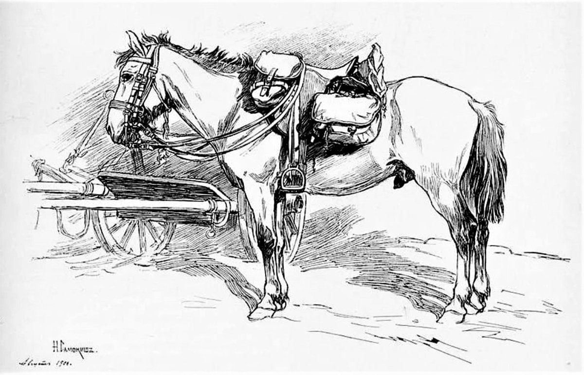 Раскраска лошади в конюшне