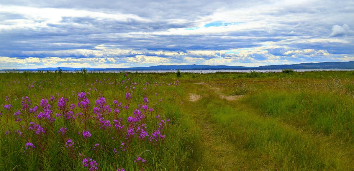 Мурочи Забайкалье