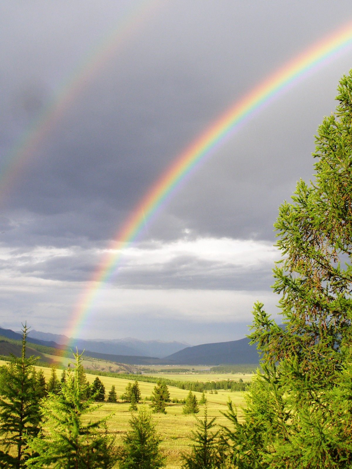 Природа Забайкальского края лето