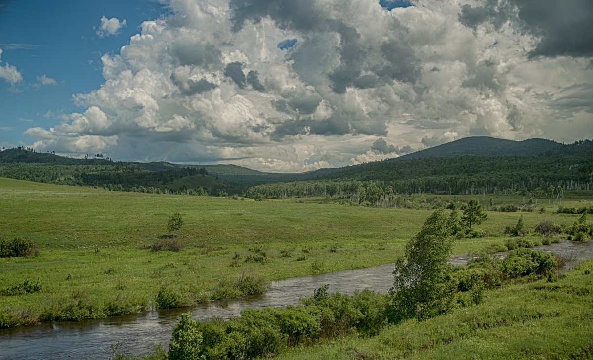 Лесостепь Забайкалья