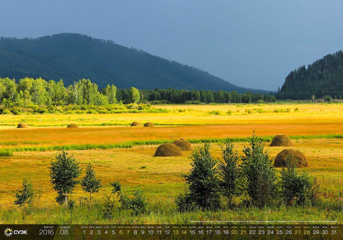 Август в Забайкалье природа