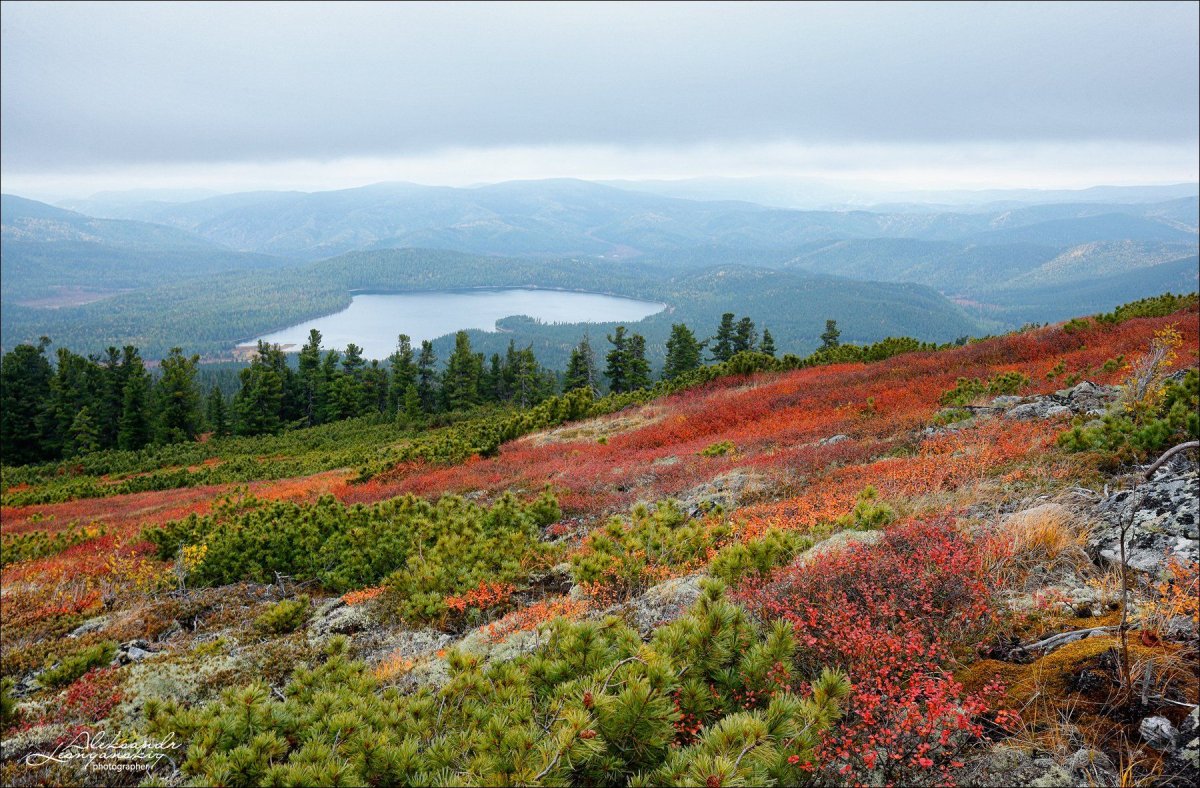 Забайкалье Леснянский