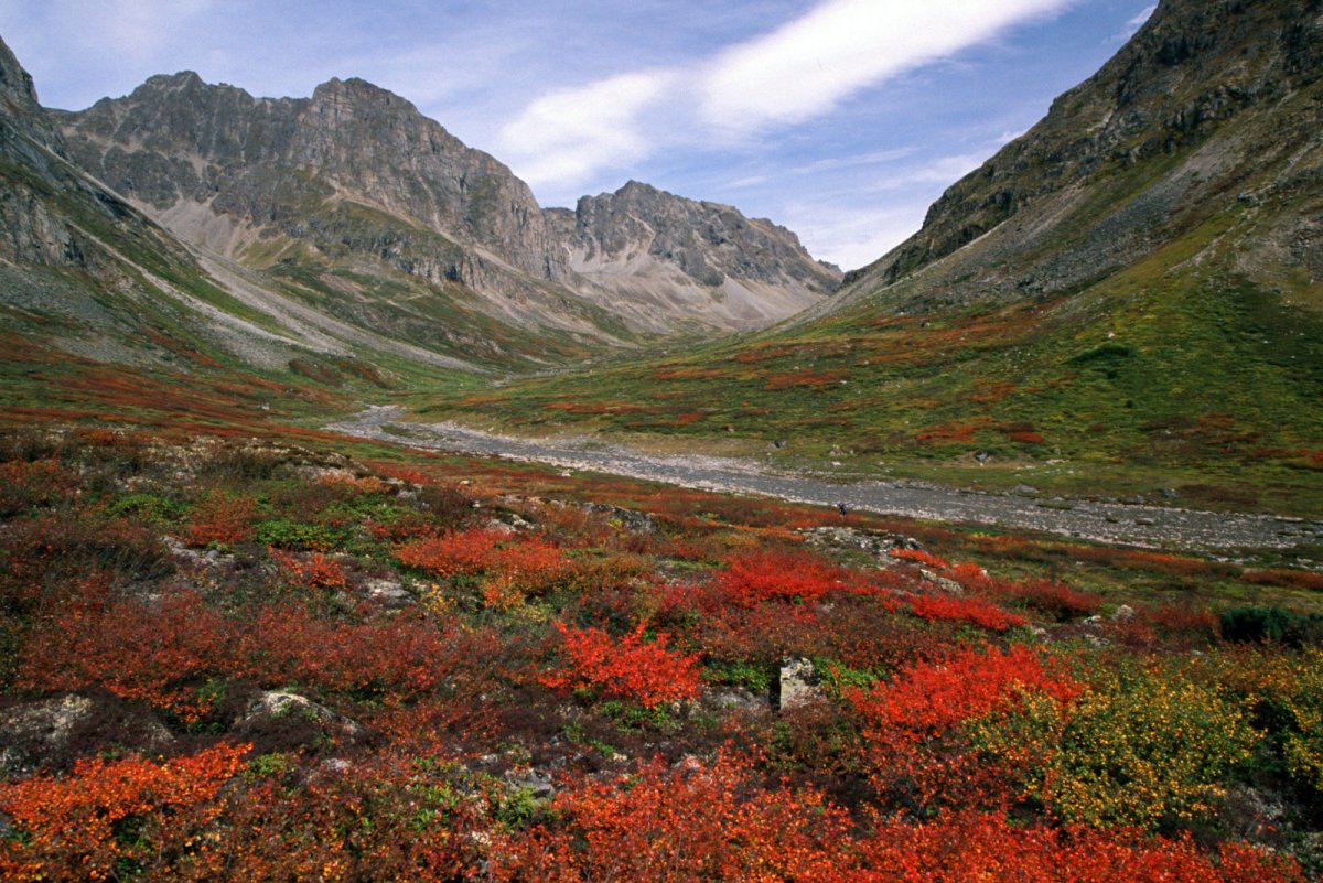 Высокогорье Забайкальского края