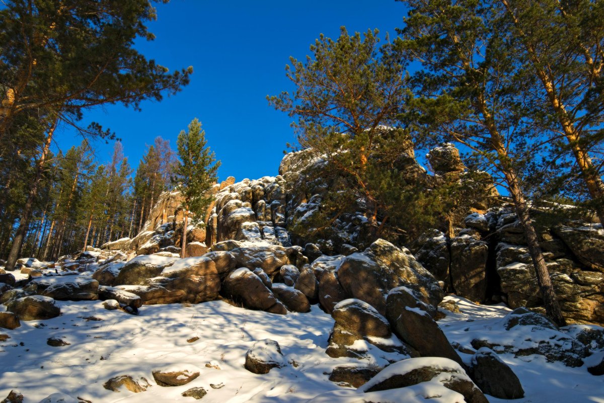 Зимняя природа Забайкальского края Чита