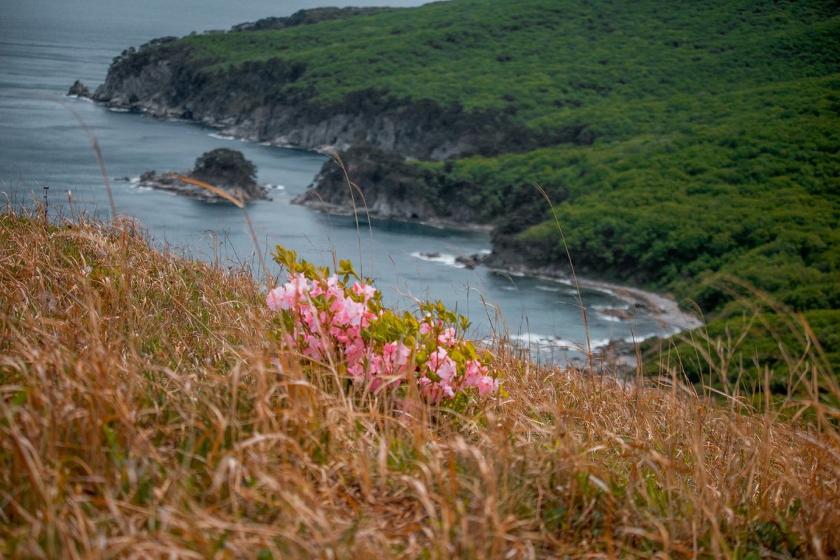 Полуостров Гамова Приморский край