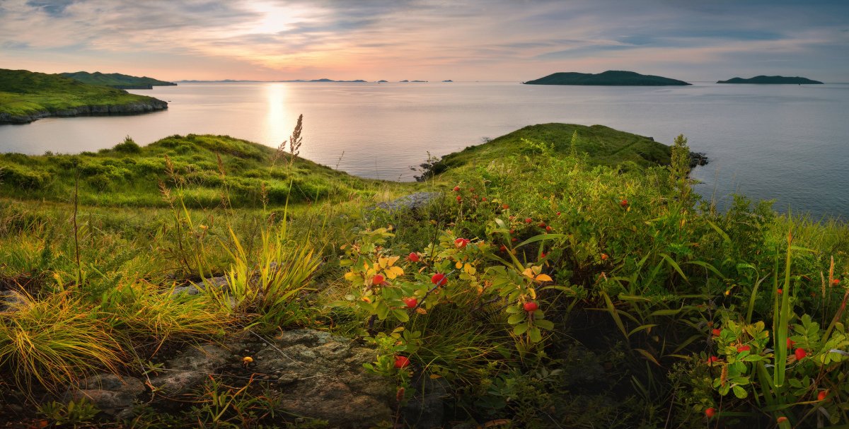 Владивосток природа сопки