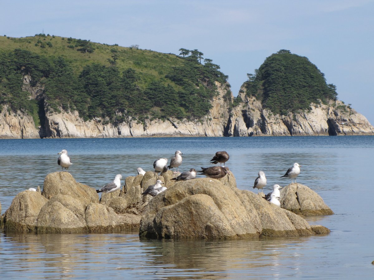 Дальний Восток биосферный заповедник Дальневосточный морской
