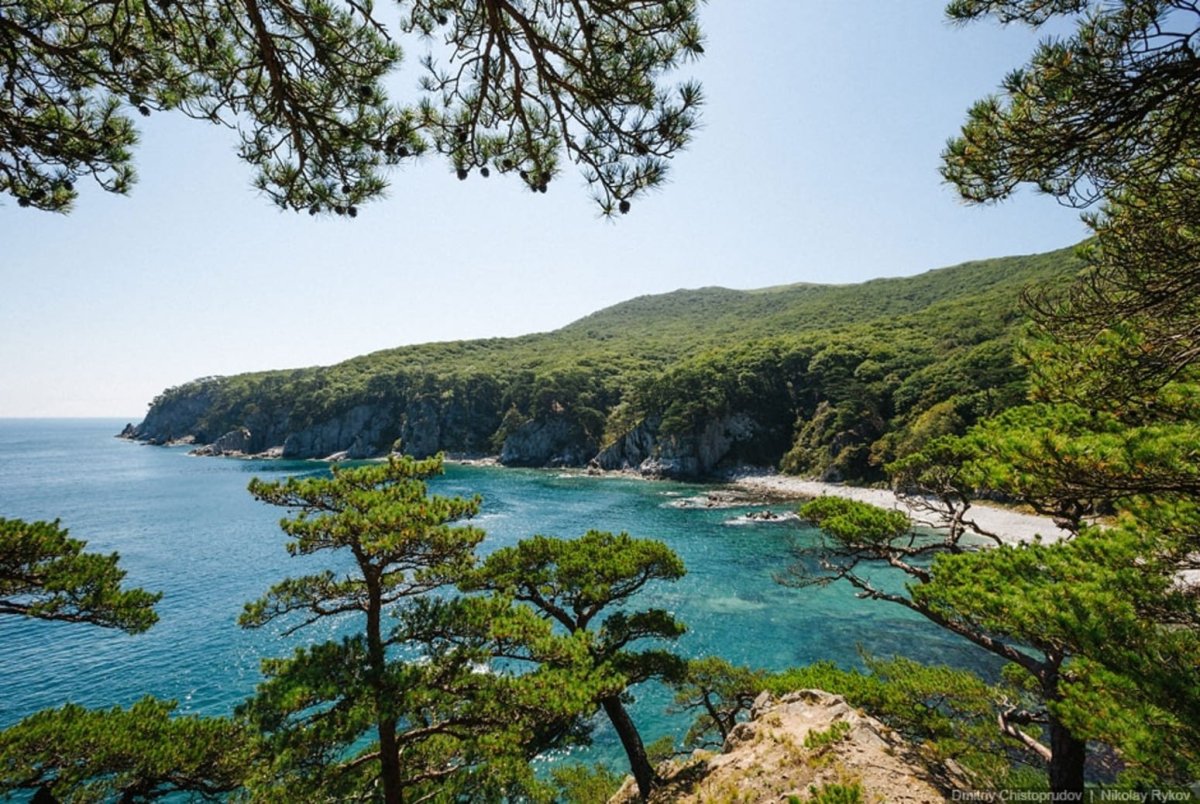 Мыс Гамова бухта Витязь