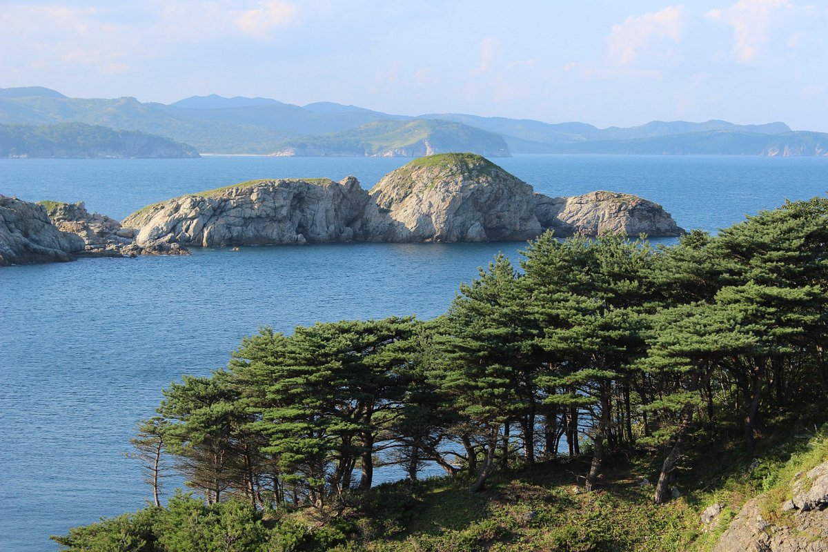 Дальневосточный морской заповедник бухта спасения