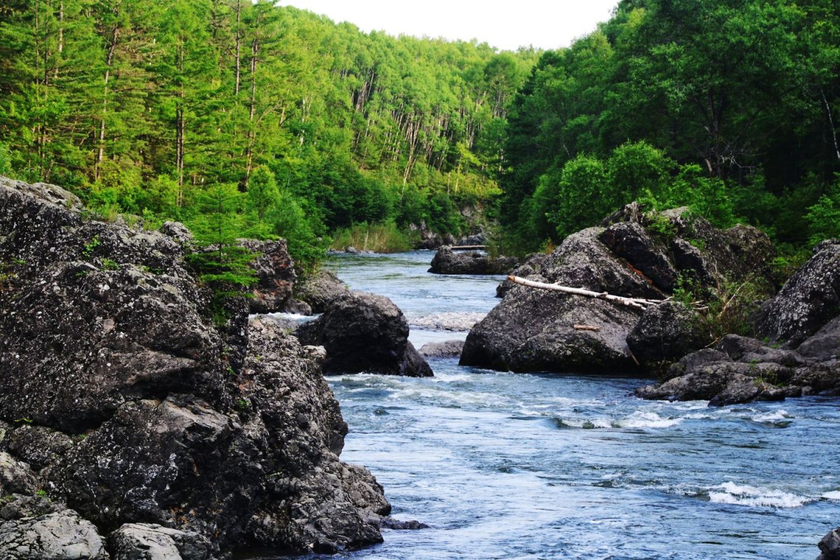 Дальний Восток Приморский край