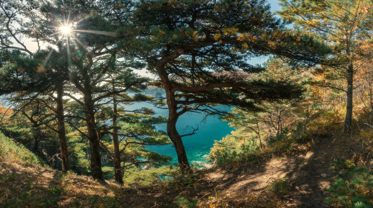 Природа Приморского края