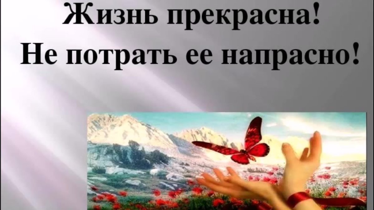 Жизнь прекрасна и удивительна